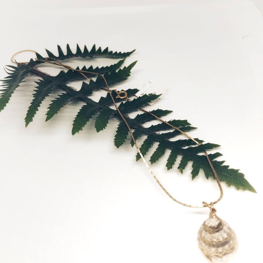 Seashell Necklace